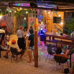 Mapache Hostel&camping Isla Holbox